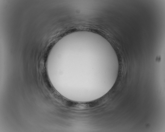 X0000114140711200910081026