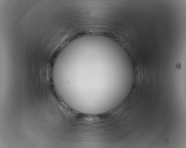 X0000114140712200910081026