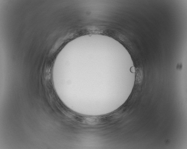 X0000114140713200910081026