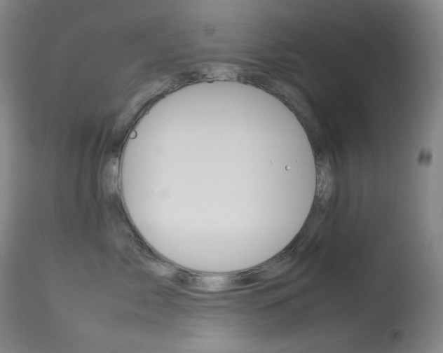 X0000114140717200910081026