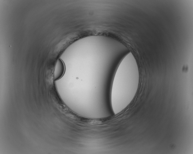 X0000114140719200910081026
