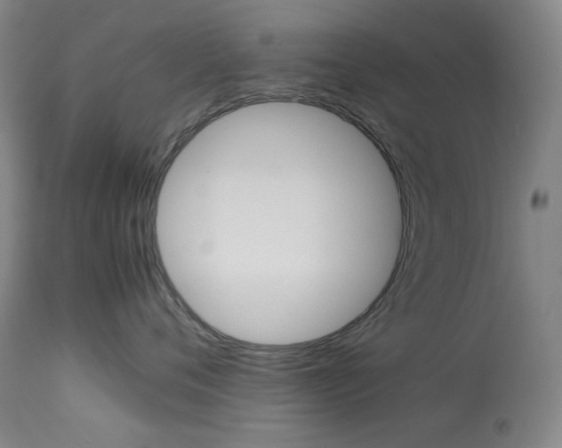 X0000114140720200910081026