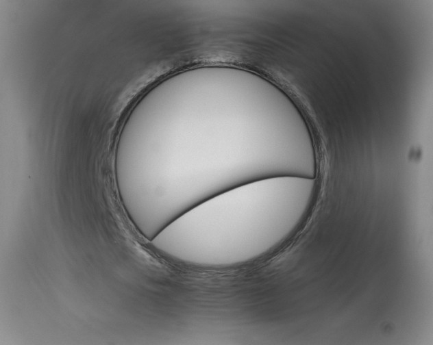 X0000114140721200910081025
