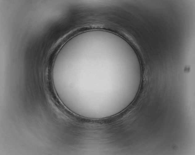 X0000114140722200910081025