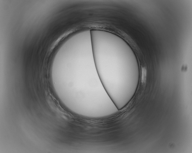 X0000114140723200910081025
