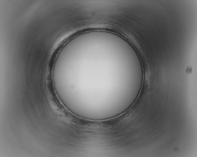X0000114140724200910081025