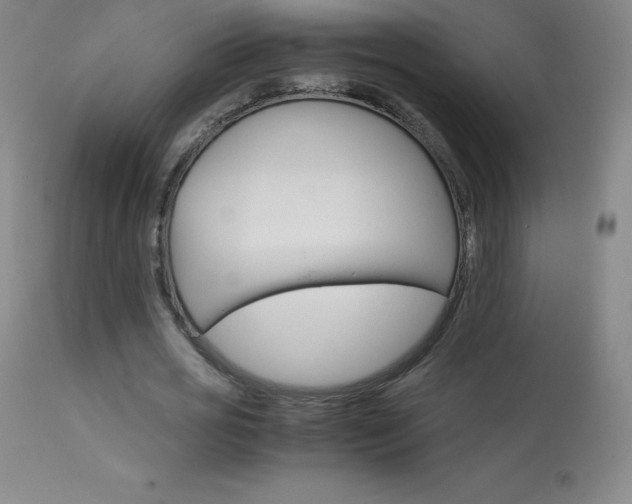X0000114140725200910081025