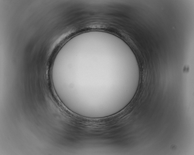X0000114140727200910081025