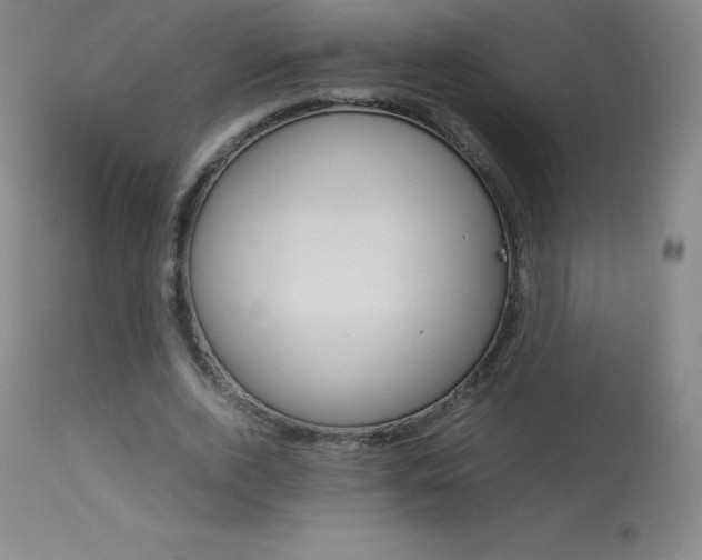 X0000114140728200910081025