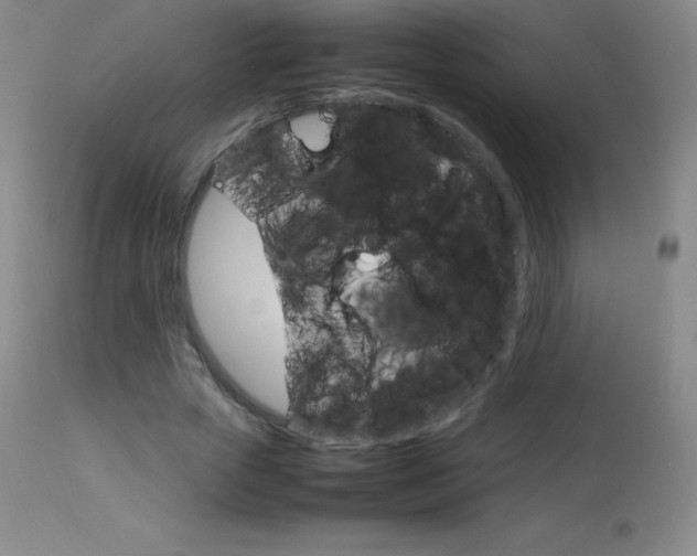 X0000114140729200910081025