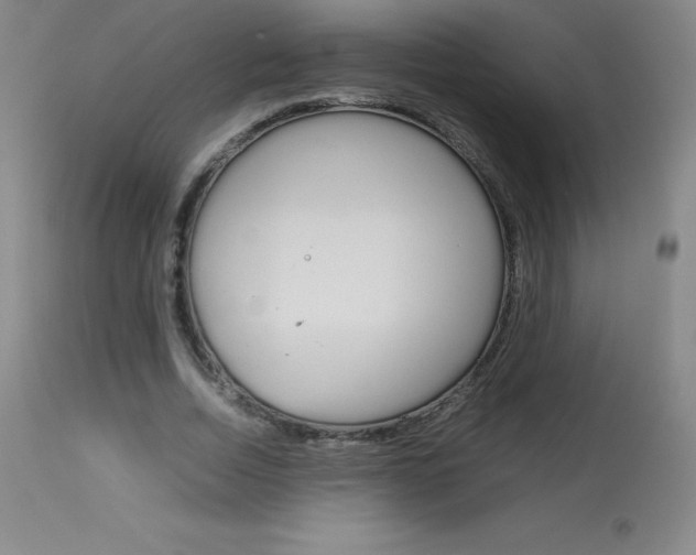 X0000114140730200910081025