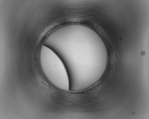 X0000114140731200910081025