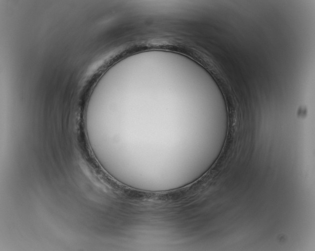 X0000114140732200910081025