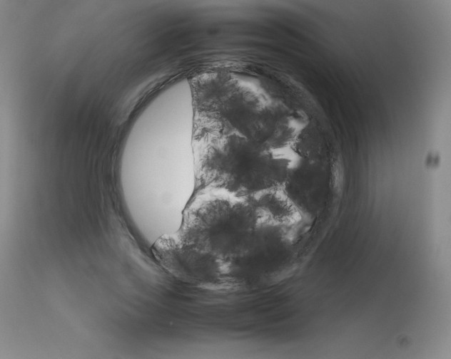 X0000114140733200910081025