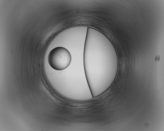 X0000114140735200910081025