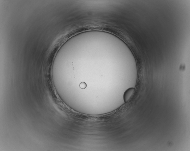 X0000114140736200910081025