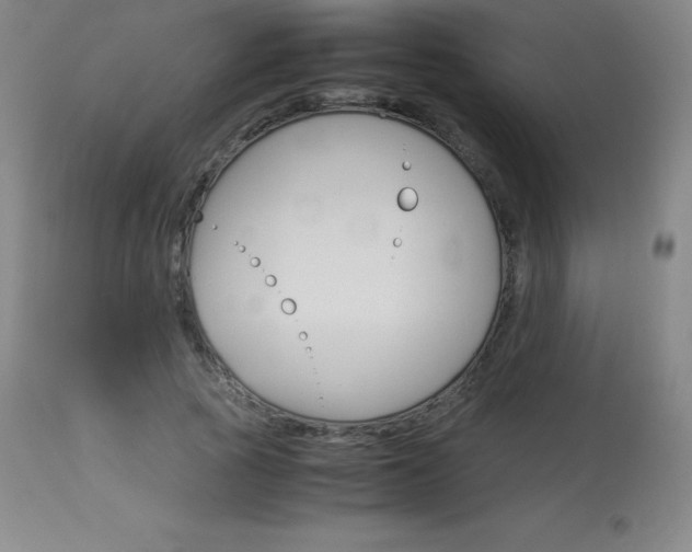 X0000114140737200910081025