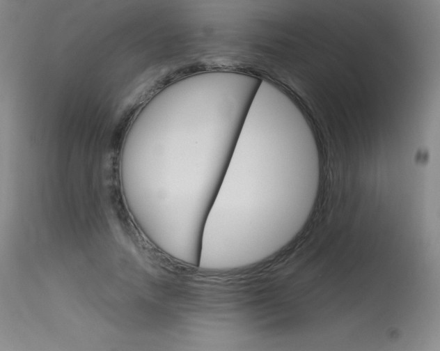 X0000114140738200910081025