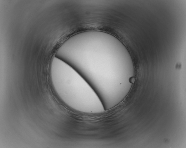 X0000114140739200910081025