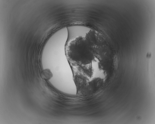 X0000114140741200910081025