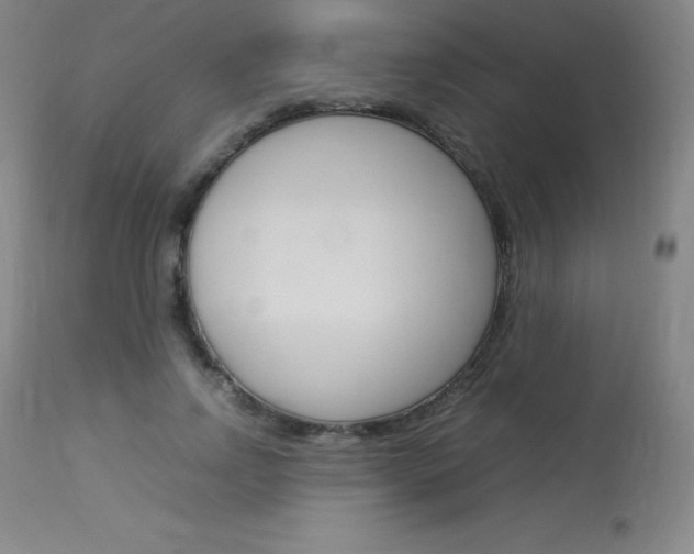 X0000114140742200910081025