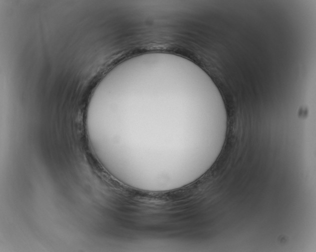 X0000114140743200910081025