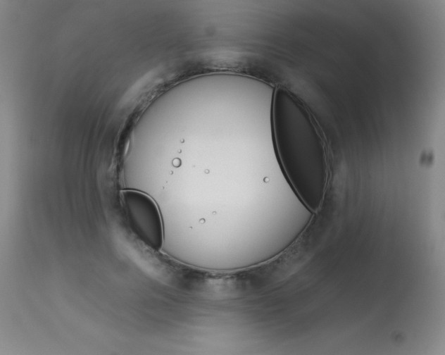 X0000114140744200910081025