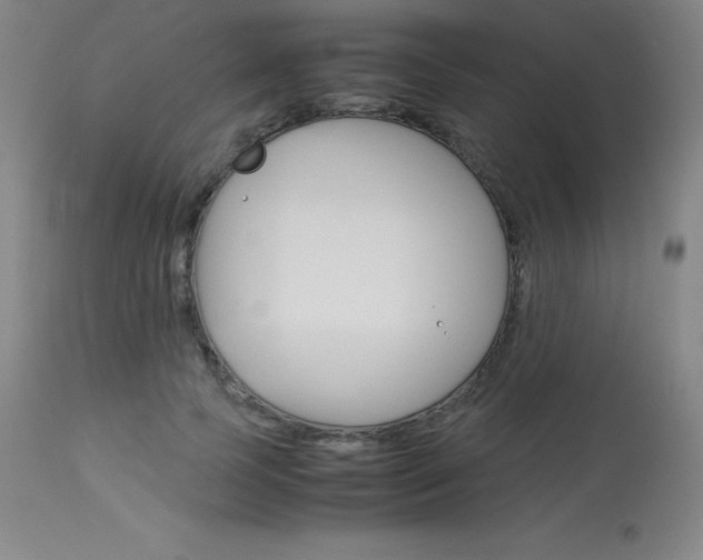 X0000114140745200910081025