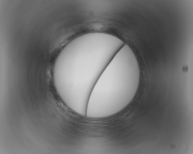 X0000114140746200910081025