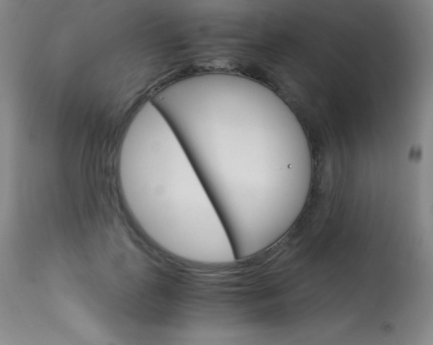 X0000114140747200910081025