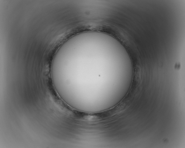 X0000114140748200910081025