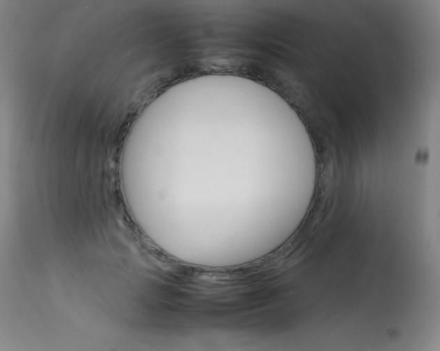 X0000114140749200910081025