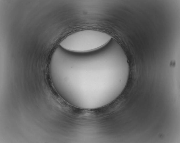 X0000114140750200910081025