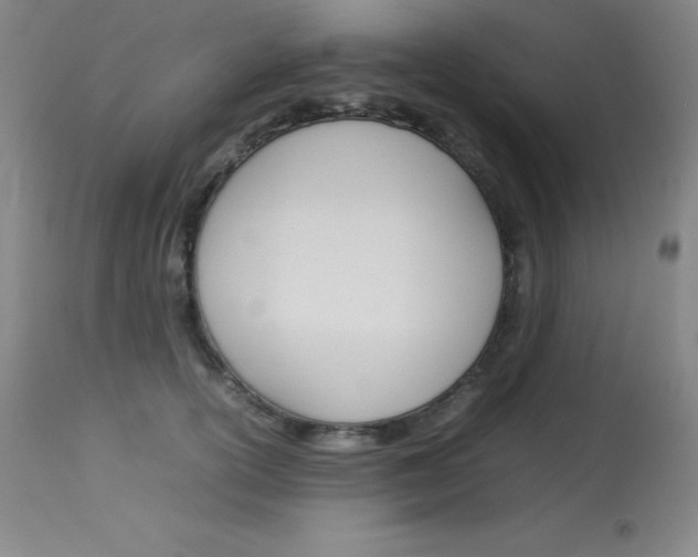X0000114140754200910081025