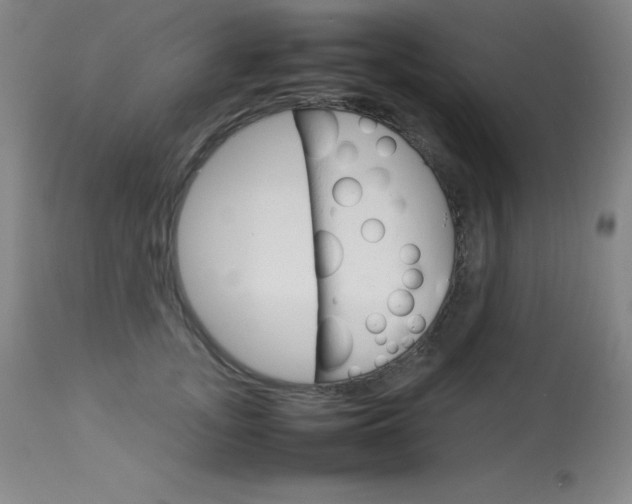 X0000114140755200910081026