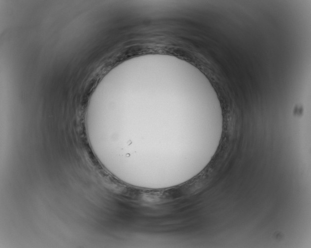 X0000114140757200910081026