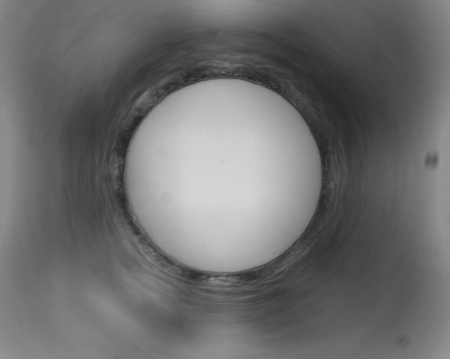 X0000114140758200910081026