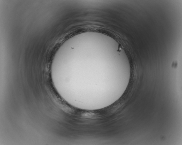 X0000114140759200910081026