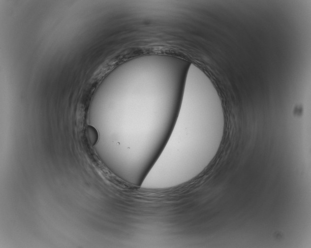 X0000114140760200910081026