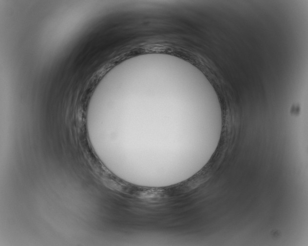 X0000114140761200910081026