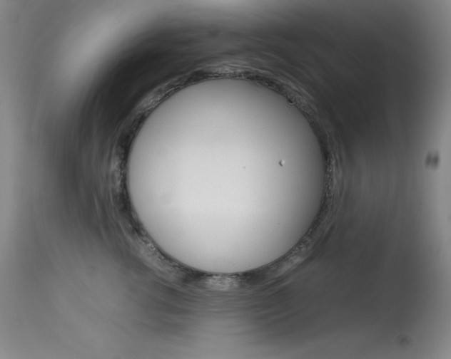 X0000114140762200910081026