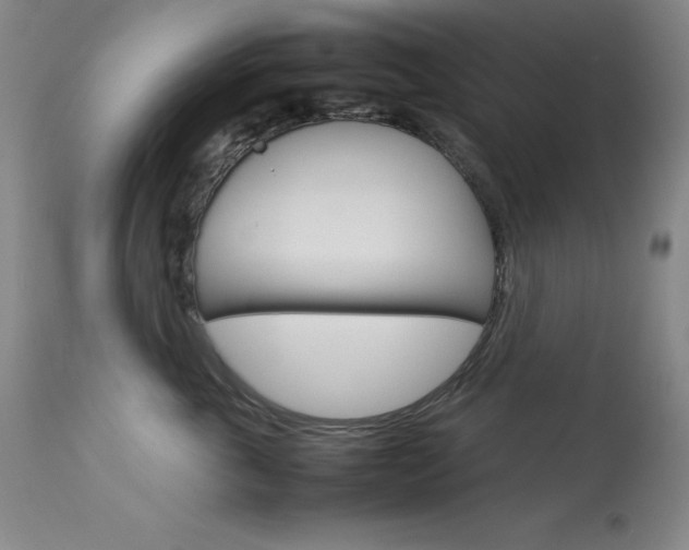 X0000114140763200910081026