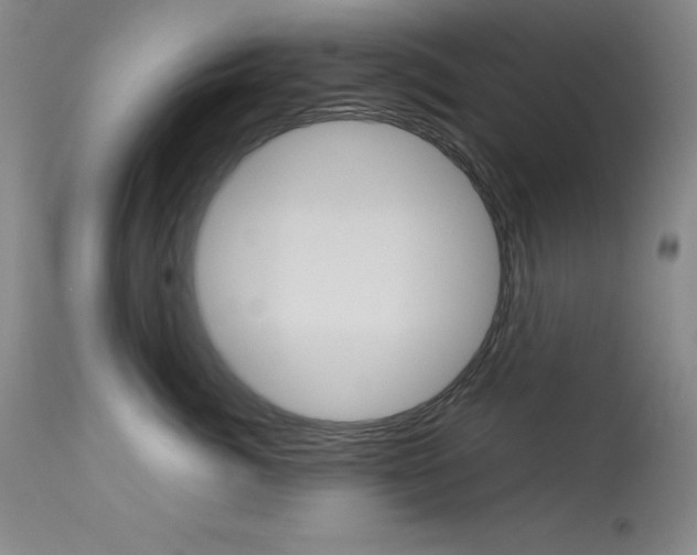 X0000114140764200910081026