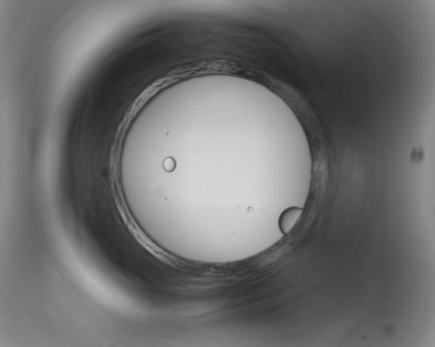 X0000114140765200910081026