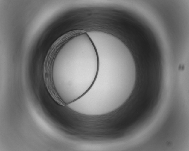 X0000114140766200910081026