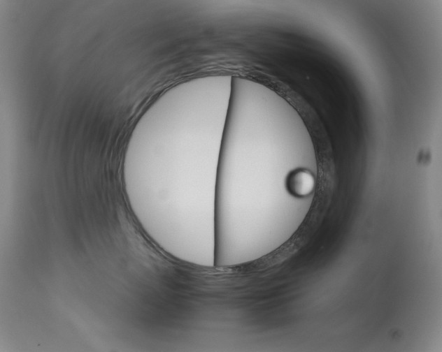 X0000114140767200910081026