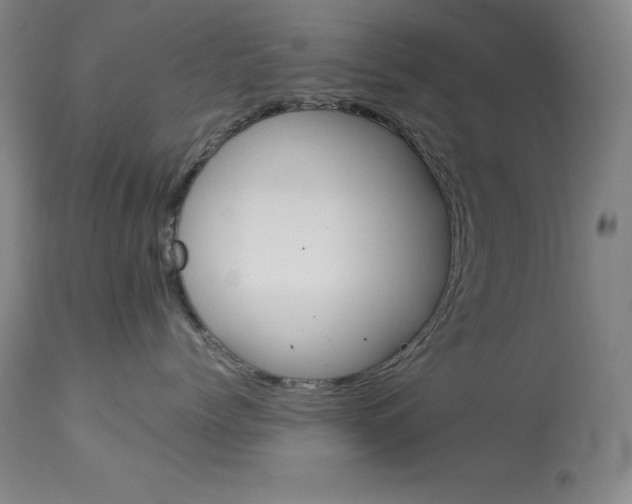 X0000114140768200910081026