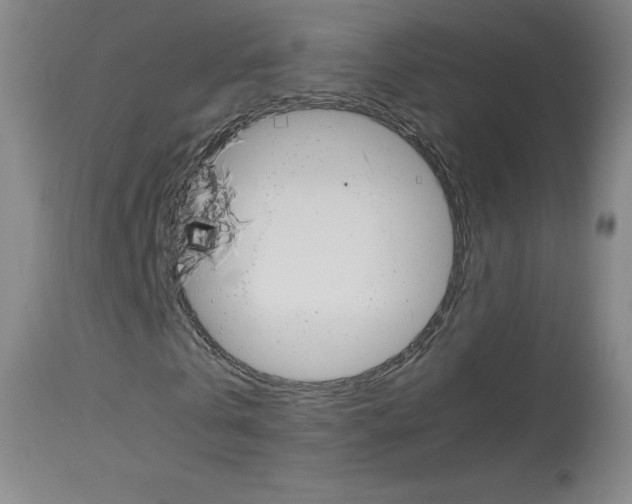 X0000114140769200910081025
