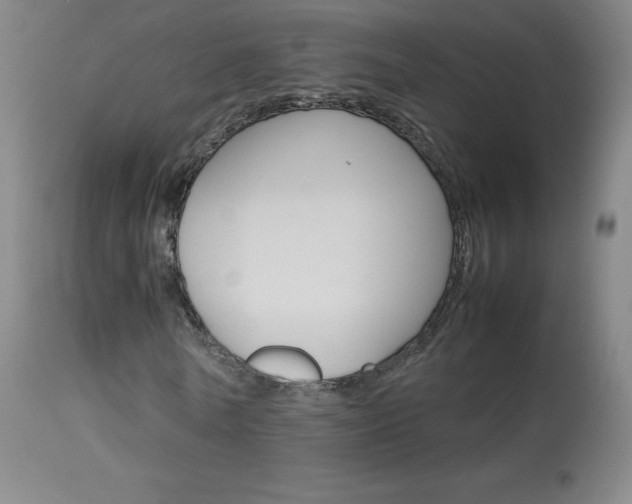 X0000114140770200910081025