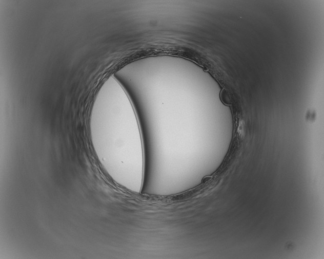 X0000114140771200910081025